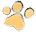 Oatmeal Cat Shampoo